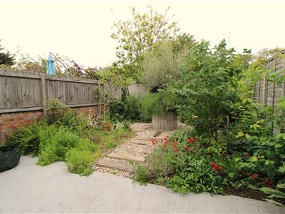 Picture 14
